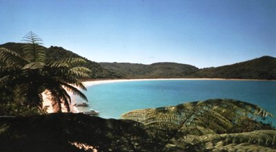 The best New Zealand beaches: Abel Tasman