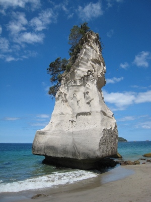 The best beaches in New Zealand: Cathedral Cove