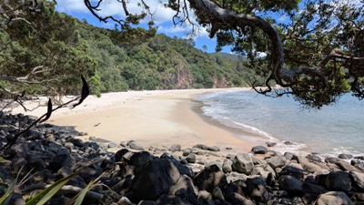 Neuseeland-Reisefuehrer: New Chums Beach in Coromandel