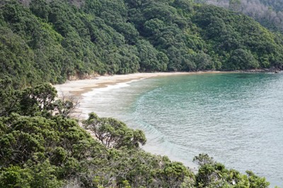 Neuseeland-Reisefuehrer: Otara Beach in Coromandel