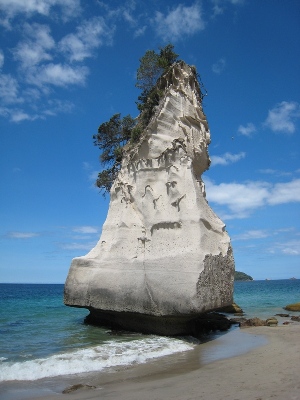 Coromandel Reisetipps: Wanderung von Hahei zur Cathedral Cove