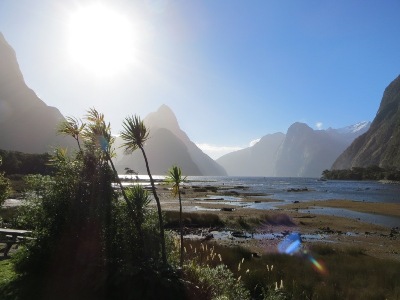 Queenstown Reisetipps: Ausflug zum Milford Sound