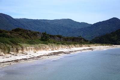 Abel Tasman Park-Tipps: Awaroa Beach