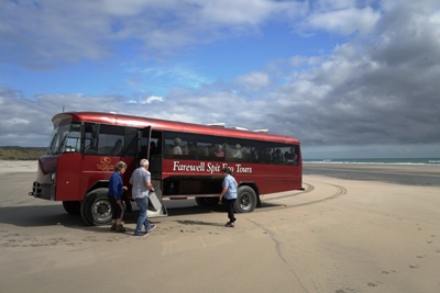 Nelson Reisetipps, Neuseeland - mit dem Bus auf der Farewell Spit