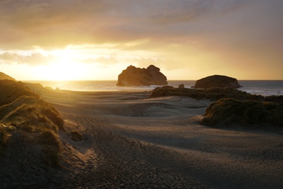 Strände Neuseelands: Wharariki Beach in der Golden Bay