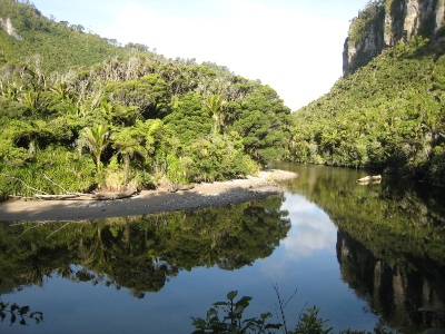 Landchaft in Neuseeland: Punakaiki an der Westküste