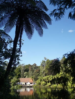 Taranaki Reisetipps - Cafe im Pukekura Park in New Plymouth