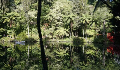 Taranaki Reisetipps - Pukekura Park in New Plymouth