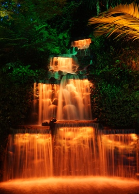 Taranaki Reisetipps - Festival of Lights im Pukekura Park in New Plymouth