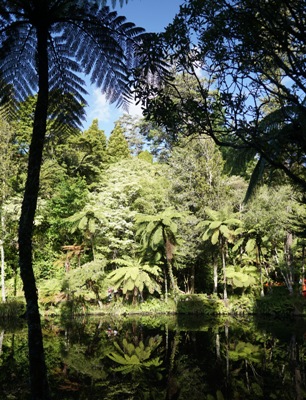 Taranaki Reisetipps - Pukekura Park in New Plymouth