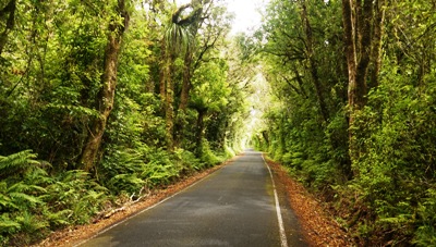 Taranaki Tipps - Strasse hoch zum Mount Taranaki / Mount Egmont