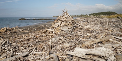 Taranaki Reisetipps - Holz auf dem Strand von Waitara