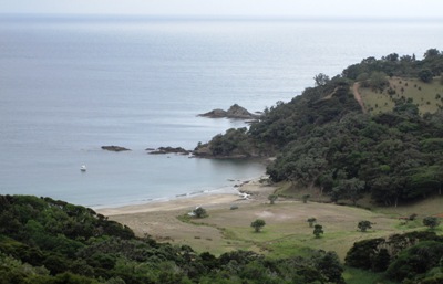 Waiheke Island-Tipps - Strand im Osten der Insel