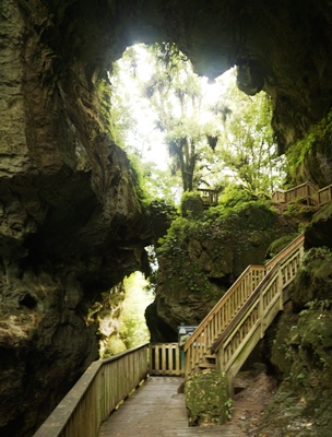 Waikato Reise-Tipps - Mangapohue Natural Bridge