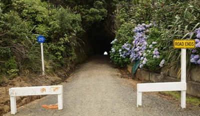 Waikato Reise-Tipps - Tunnel bei Waikawau