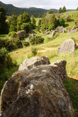 Waikato Reise-Tipps - Austernfossilien bei Waitomo