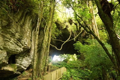 Waikato Tipps - Mangapohue Natural Bridge bei Waitomo