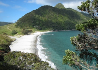 Northland travel tips: Smugglers Bay Whangarei Heads