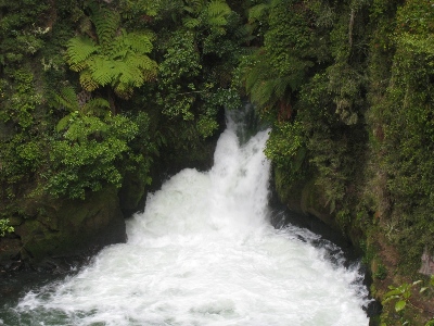 Rotorua region travel tips: river raft this waterfall!