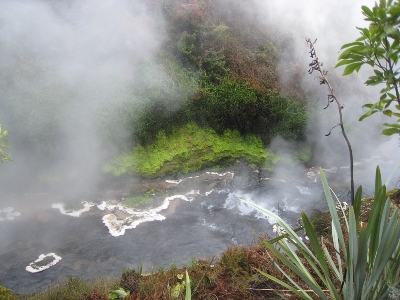 Rotorua region travel tips: Waikite boiling river
