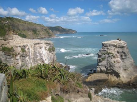 Auckland travel tips: Muriwai gannets