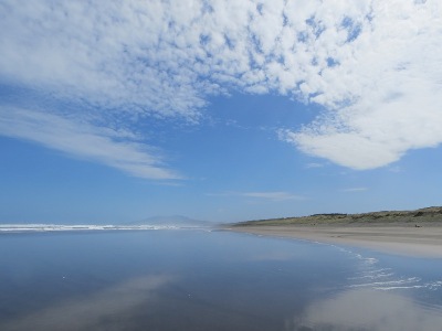 Best beaches in New Zealand: Kawhia