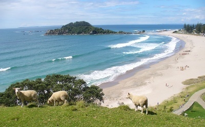 Best beaches in New Zealand: Mount Maunganui surf beach