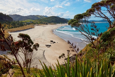 Best beaches in New Zealand: Ocean Beach at Whangarei Heads
