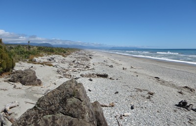 Best beaches in New Zealand: Ship Creek on the west coast