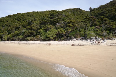 Abel Tasman beach tips: another golden beach
