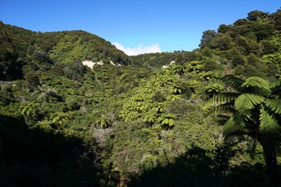 Abel Tasman Park tips: the road to Totaranui