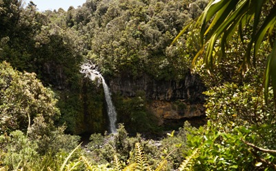 Taranaki travel tips - Dawson Falls