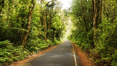 Taranaki travel tips - road to Mount Taranaki / Egmont