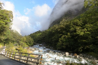 Fiordland travel tips - Road to Milford Sound