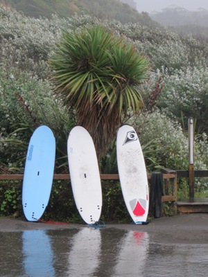 Waikato tips - Raglan surfing