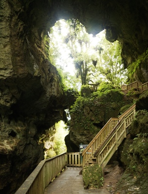Waikato travel tips - Mangapohue Natural Bridge walk near Waitomo Caves