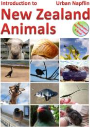 New Zealand animals ebook (Smashwords)