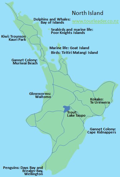 Places for animal watching in the North Island