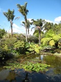 Neuseeland-Garten