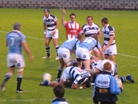 Neuseeland Rugby