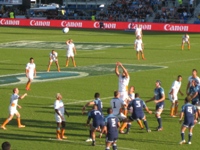 Rugby New Zealand: Throw in